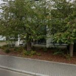 Notare Mai & Belikan – Friedrichshafen