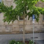 Rechtsanwälte und Notare Penning, Horn, Bethke – Dortmund