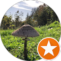 Schaedeldx -