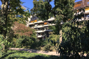 Notar Dr. Marc Grotheer – Düsseldorf